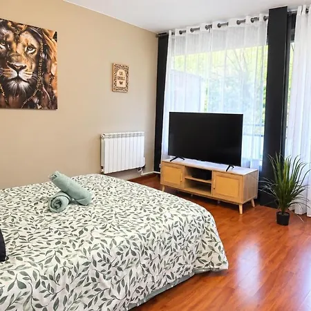 Apartment Le Cocon Saint-Julien-en-Genevois